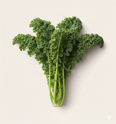 Fresh organic kale — VYB super greens powder packed with superfoods and antioxidants including spirulina and alfalfa